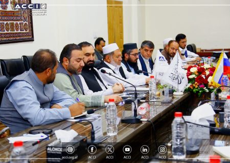 افغانستان، روسیه و قزاقستان توافقنامه‌های تجاری به ارزش ۴۴۶.۶ میلیون افغانی امضا کردند