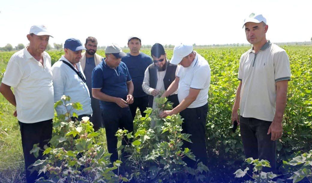 همکاری‌های زراعتی افغانستان و ازبیکستان برای توسعه کشت پنبه در قندوز گسترش می‌یابد