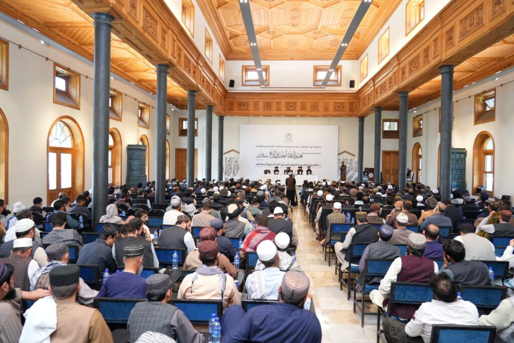 نشست طالبان برای هماهنگی نهادها در اجرای فرمان منع کشت کوکنار