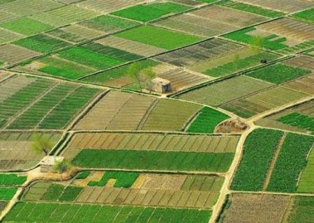 اداره احصائیه طالبان: زمین‌های زراعتی افغانستان ۱۰.۲ درصد افزایش یافته است