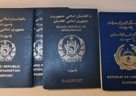 مشکل ثبت‌نام دارندگان پاسپورت‌های خانواری برای طرح اربعین برطرف شد