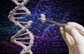امید تازه برای درمان دائمی کلسترول بالا با ویرایش ژن