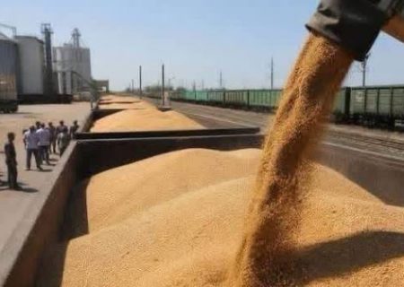 افزایش چشم‌گیر صادرات غله و آرد قزاقستان به افغانستان