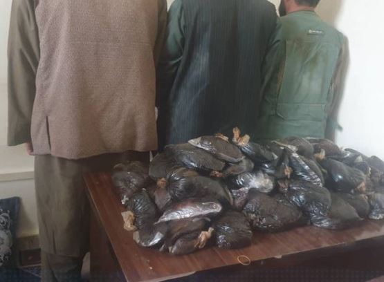 کشف ۴۹ کیلوگرام تریاک در کشم بدخشان؛ سه نفر بازداشت شدند