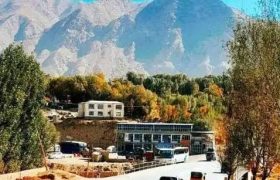 حمله سگ مشکوک به هاری در فیض‌ آباد؛ ۱۶ نفر زخمی شدند