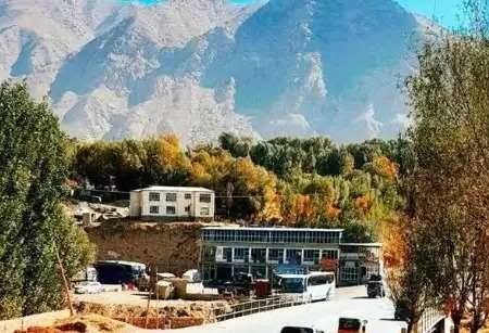 حمله سگ مشکوک به هاری در فیض‌ آباد؛ ۱۶ نفر زخمی شدند