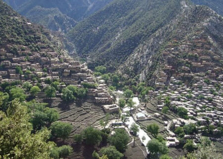 طالبان از کشته و بازداشت ۹۸ نیروی مخالف در کامدیش خبر داد