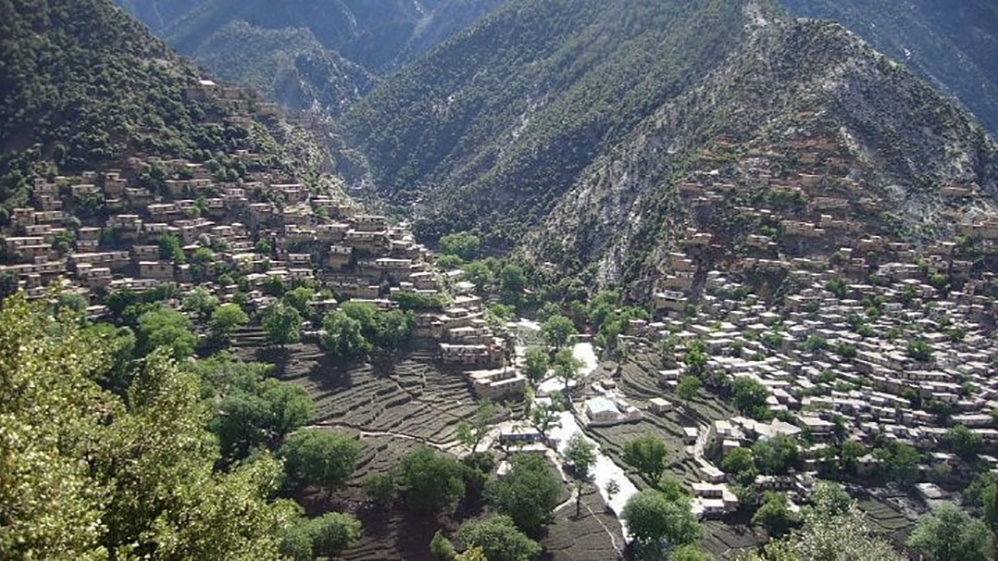 طالبان از کشته و بازداشت ۹۸ نیروی مخالف در کامدیش خبر داد