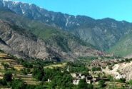 پایان عملیات طالبان در کامدیش نورستان؛ ۴۱ مخالف کشته شدند