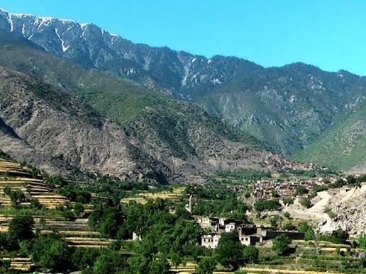 پایان عملیات طالبان در کامدیش نورستان؛ ۴۱ مخالف کشته شدند