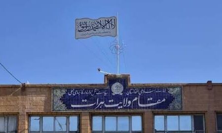 والی هرات خواستار رسیدگی به مشکلات مهاجران افغانستانی در ایران شد