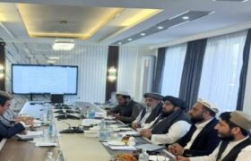 افغانستان خواستار افزایش واردات برق از تاجکستان شد