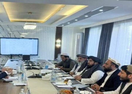 افغانستان خواستار افزایش واردات برق از تاجکستان شد