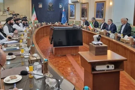 دیدار مقام‌های نفت و گاز افغانستان با وزیر نفت ایران در تهران