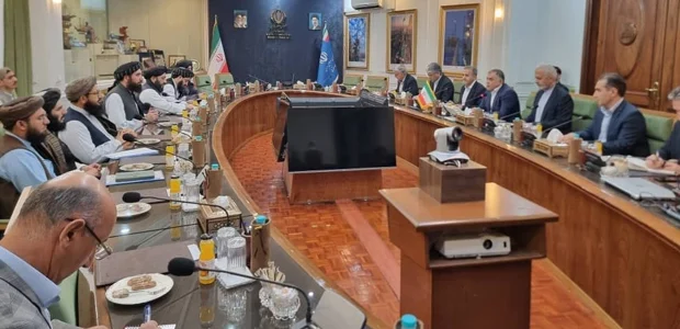 دیدار مقام‌های نفت و گاز افغانستان با وزیر نفت ایران در تهران