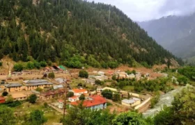 جبهه آزادی از کشته‌شدن ۱۱ عضو طالبان در نورستان خبر داد