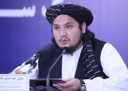 طالبان گزارش سازمان ملل درباره افزایش کشت مواد مخدر را رد کردند