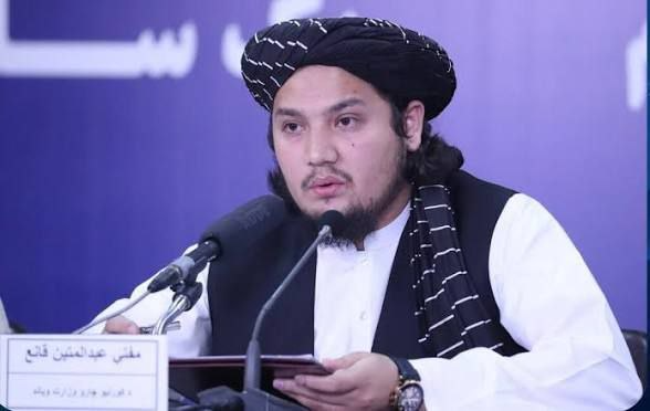 طالبان گزارش سازمان ملل درباره افزایش کشت مواد مخدر را رد کردند