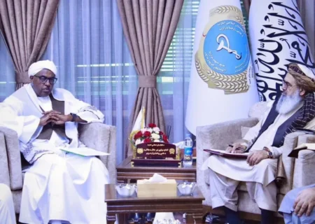 سازمان همکاری اسلامی بر حضور زنان در بخش صحت و حق آموزش دختران در افغانستان تأکید کرد