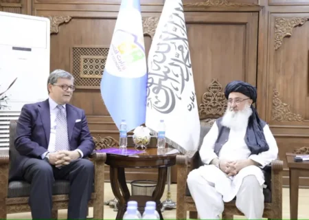 طالبان از اتحادیه اروپا خواستار تشویق سرمایه‌گذاران به حضور در افغانستان شد
