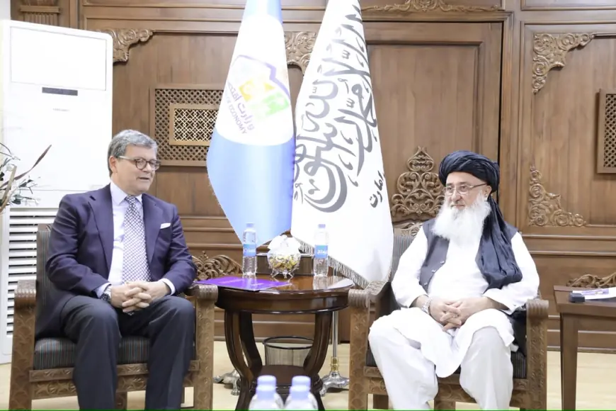طالبان از اتحادیه اروپا خواستار تشویق سرمایه‌گذاران به حضور در افغانستان شد