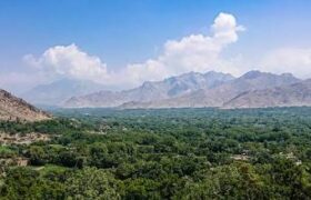 جبهه آزادی از کشته‌ شدن سه عضو طالبان در کاپیسا خبر داد