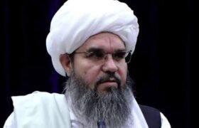 شهاب الدین دلاور مذاکره سیاسی با مخالفان طالبان را رد کرد
