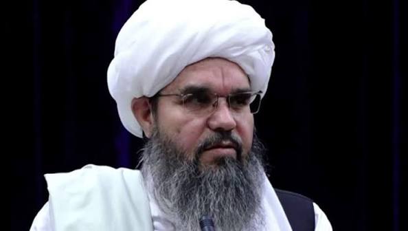 شهاب الدین دلاور مذاکره سیاسی با مخالفان طالبان را رد کرد