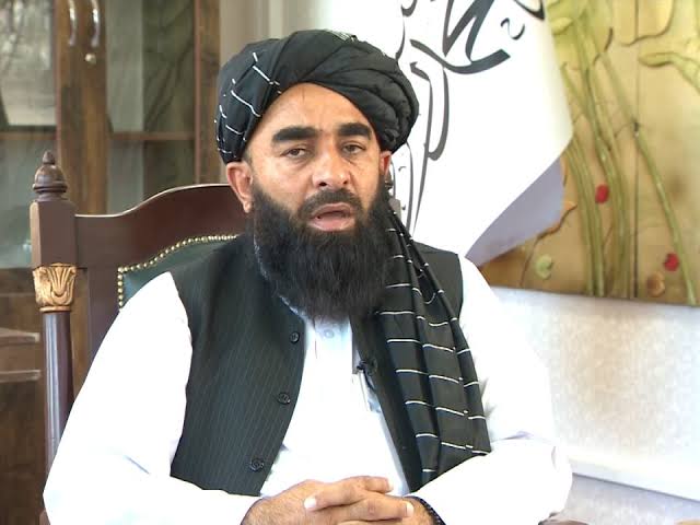 مجاهد: مقصر دانستن افغانستان راه‌حل مشکلات پاکستان نیست