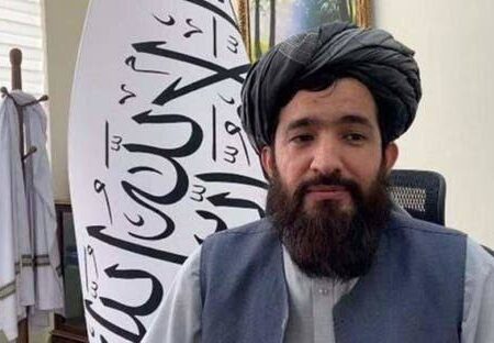 طالبان: حملات پاکستان از سال ۲۰۲۲ تاکنون بیش از یک‌هزار غیرنظامی را کشته یا زخمی کرده است