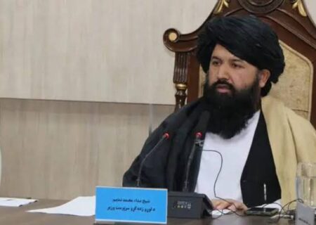 وزیر طالبان مخالفان این گروه را به تلاش برای تداوم جنگ و خون‌ ریزی در افغانستان متهم کرد