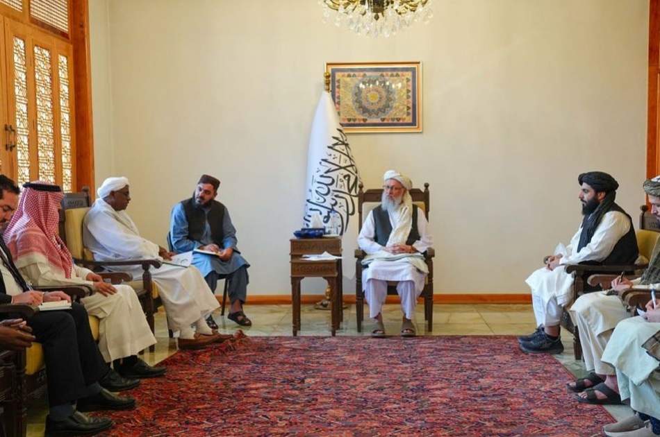 حنفی خواستار همکاری سازمان همکاری اسلامی در حمایت از بازگشت‌کنندگان شد