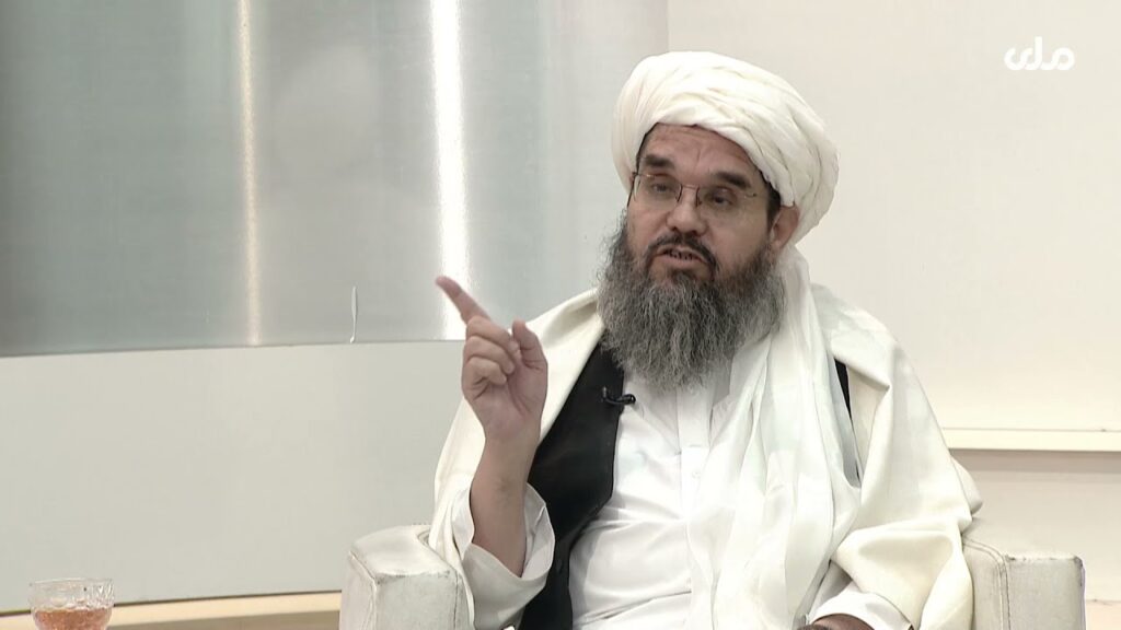 شهاب الدین دلاور درباره توافق دوحه گفت نامی از زنان برده نشده است