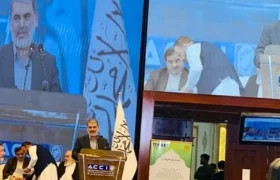 مقام ایرانی افغانستان را در آستانه جهش اقتصادی دانست