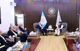 افغانستان و ایران درباره صادرات ۲ هزار میگاوات برق و سرمایه‌گذاری مشترک گفت‌وگو کردند