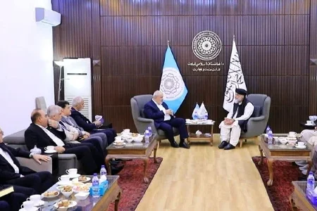 افغانستان و ایران درباره صادرات ۲ هزار میگاوات برق و سرمایه‌گذاری مشترک گفت‌وگو کردند