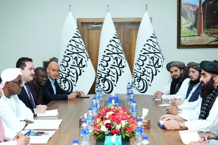 دیدار امیرخان متقی با معاون سرمنشی سازمان همکاری‌های اسلامی