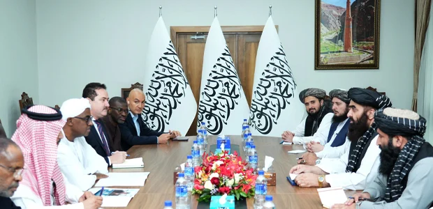 دیدار امیرخان متقی با معاون سرمنشی سازمان همکاری‌های اسلامی