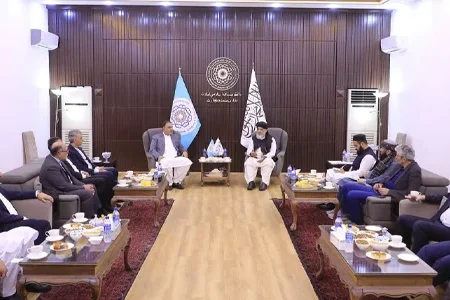 بررسی سرمایه‌گذاری مشترک افغانستان و ایران در بخش معادن و صنعت