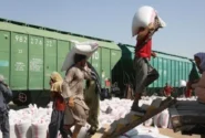 روزانه تا ۳۰۰ واگن باری از مسیر خط آهن حیرتان وارد افغانستان می‌شود
