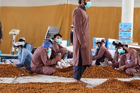 صادرات ۹۷ میلیون دلاری کالا از قندهار؛ چالش‌های ترانزیتی و تغییر مسیرهای تجاری