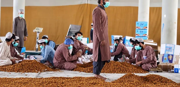 صادرات ۹۷ میلیون دلاری کالا از قندهار؛ چالش‌های ترانزیتی و تغییر مسیرهای تجاری