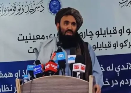 رحمت‌الله نجیب: ادعای مخالفان تبلیغات دروغین است