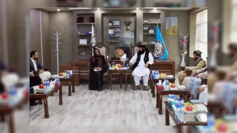 گفت‌وگوی نماینده سازمان ملل با طالبان درباره مهاجران و خانواده‌ های بی‌ جا شده